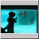Zoo - Seals - Indianna.jpg
